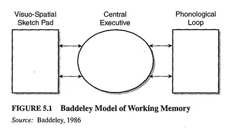 Image result for Working Memory Model