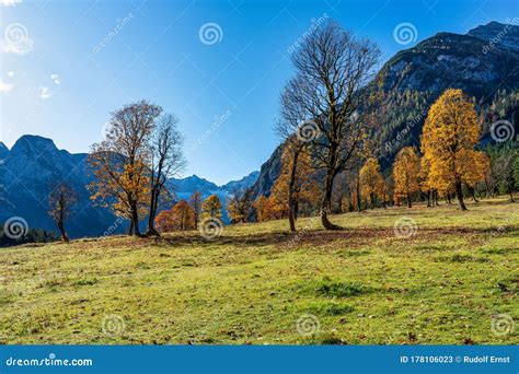 Image result for Enable JavaScript Windows 11