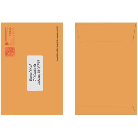 Stink Sack Priority Meds Smell-Proof Storage Bags, Small, 10-Count ...