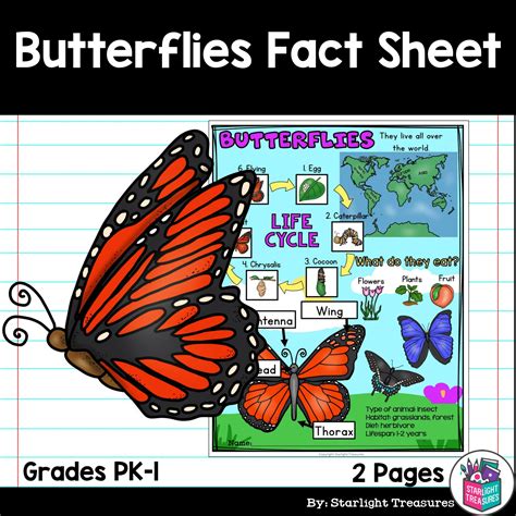 Butterflies Fact Sheet for Early Readers - Animal Study | Made By Teachers