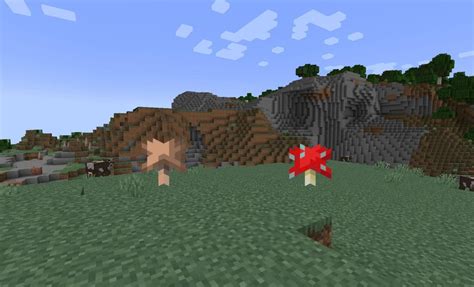 Where To Find Brown Mushrooms In Minecraft