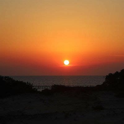 Amazing Scavenger Hunt! - Take Flight in Devil Hills, 289J+WJ, Kill ...