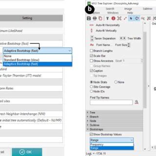 Image result for Second Method Example