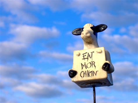 Chick Fil A Cow Sign