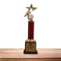 Awards & Achievements | Child Help Foundation | Child NGO