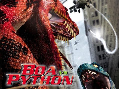 Boa vs Python 2004 的图像结果