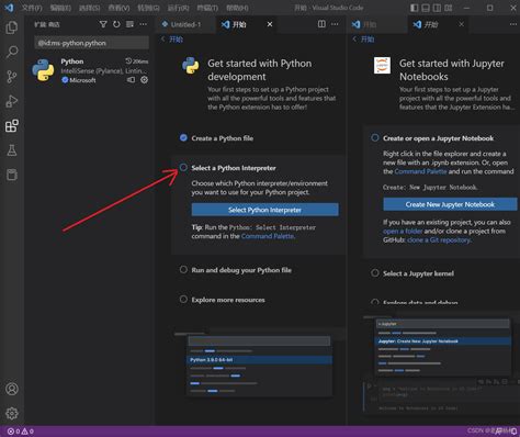Visual Studio Code Python Install German 的图像结果