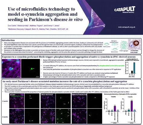 Discovery of potent inhibitors of α-synuclein aggregation using structure-based iterative learning - PubMed