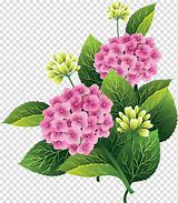 Image result for Bunch of Flowers Silhouette