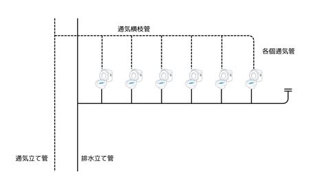 Image result for Complex Numbee Tree