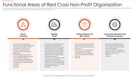 Completye Example Business Model Matrix for a Non-Profit 的图像结果