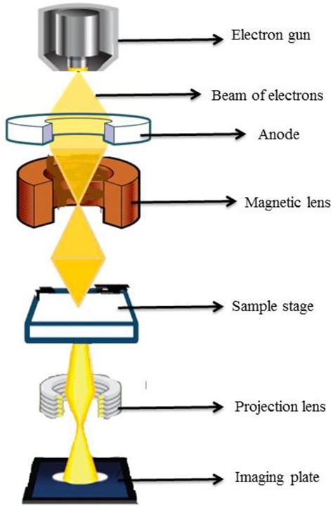 Electron Microscope Principle 的图像结果
