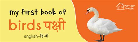 My First Book of Birds - Pakshi (English - Hindi): Bilingual Board ...