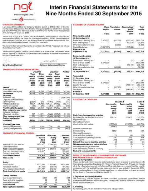 Interim Financial Statements Template