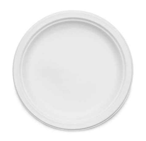 Image result for Paper Plate Loaded Up