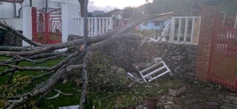 La caída de un árbol por el fuerte viento, destroza un muro en el ...