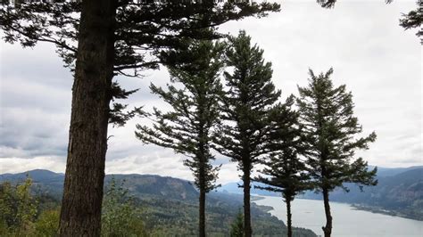 Twilight Filming Locations (2008)