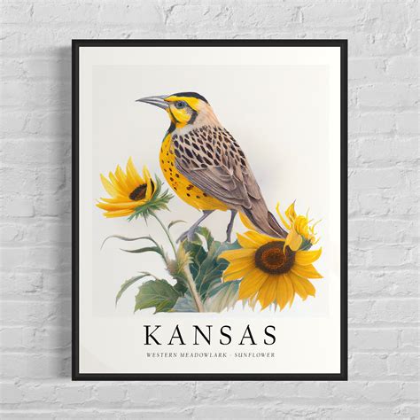 POSTER Kansas State Bird Art Print, Kansas State Flower, Kansas Wall ...