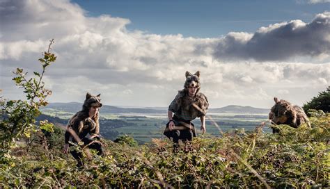 Image result for Wolves History