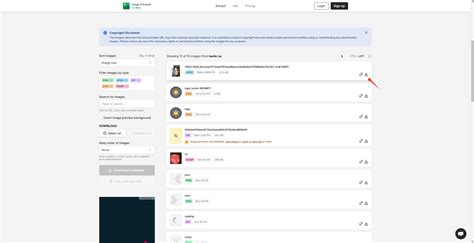 Comment télécharger toutes les images des albums publics de Bunkr ...