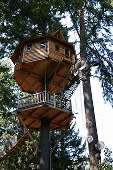 Tree Houses Or Houses In Trees by 15 Most Amazing Treehouses In America Tree Houses Or Houses In Trees