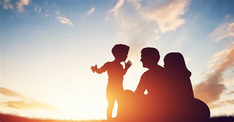 Image result for Inheritance Basic Picture