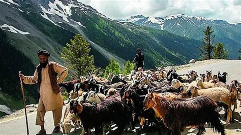 Centre OKs 85% quota for locals in jobs in Ladakh