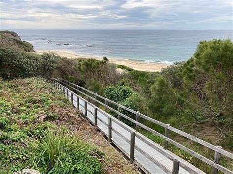 WARDEN HEAD RESERVE (2025) All You Need to Know BEFORE You Go (with ...