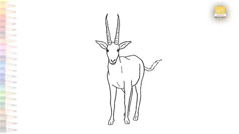 Gazelle drawings easy | Art tutorial | How to draw A Gazelle step by ...