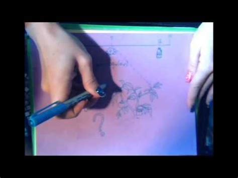 Image result for Why Is Java Using in Ph