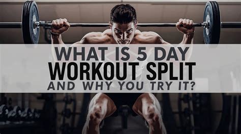 What Is a 5 Day Workout Split and Why You Should Try It