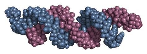 Image result for Partial Reprogramming