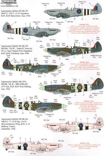 Image result for Spitfire Color Schemes