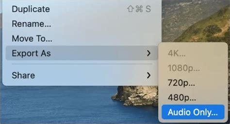 MP4 Video File to Audio Conversion 的图像结果