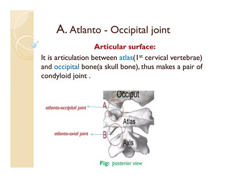 Atlanto occipital and atlanto axial joint | PDF