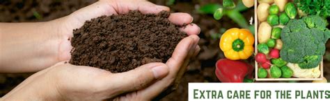 Raj AgriTech Eurostar Soil Conditioner Granual Form for Healthy Root ...