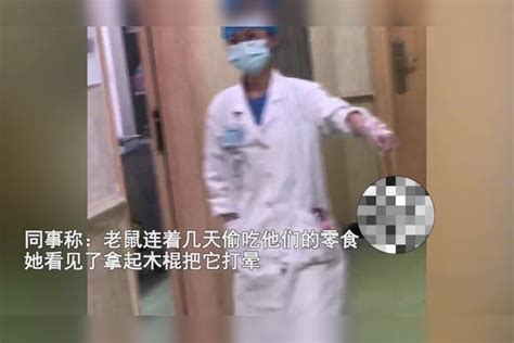 女护士处理被打晕的老鼠，表情淡定单手拎走，同事一旁瑟瑟发抖。