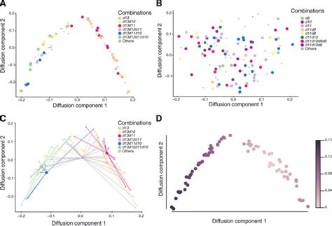 Diffusion Maps Pseudo-Time 的图像结果
