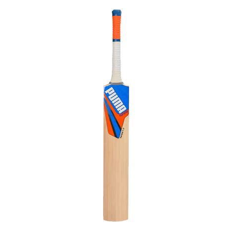 Puma Future 1.2 English Willow Cricket Bat – SCS Sports