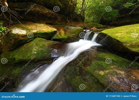 Caney Creek Falls Landscape Alabama Stock Image - Image of ecosystem ...