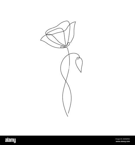 Image result for Easy Draw Poppy