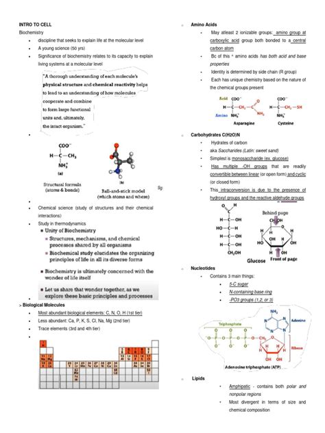 Buffer Problems Biochem 的图像结果