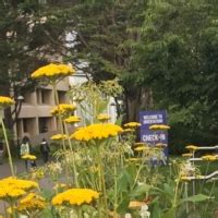 Spring 2026 Class Schedule Now Online | College of Professional ...