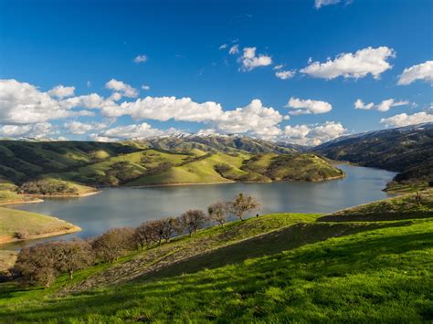 Naturetastic Blog: Del Valle Regional Park (Part 1) - Livermore, CA