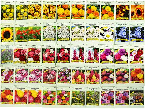 Flower Seed Packets