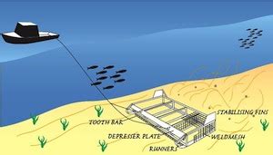 Fisheries :: Home