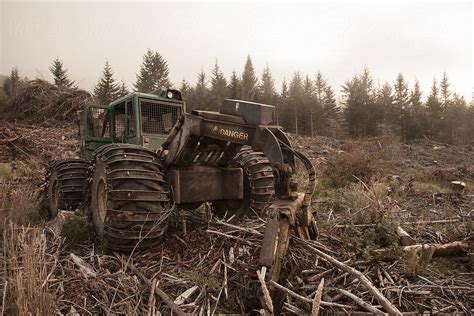 Image result for Small Excavator Logging