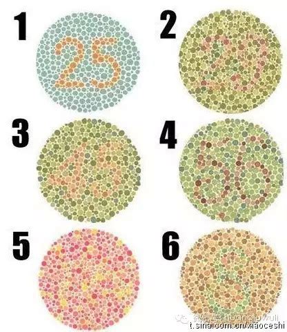 体检色谱图医院体检色弱测试图大全图册2022已更新今日图集