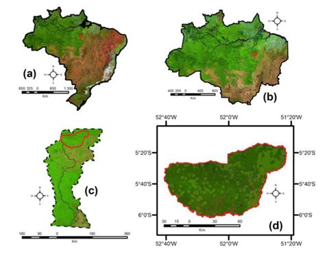 Forests | Special Issue : Environmental and Ecological Effects of ...