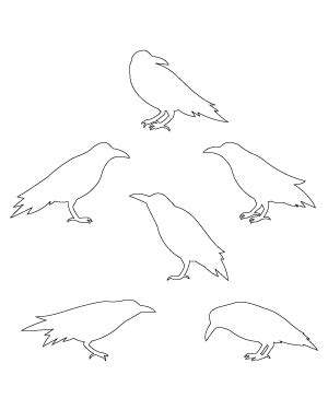 Image result for Crow Pattern-Free